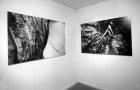\'Forest Fears\' installation, Spitz Gallery, London, 2001